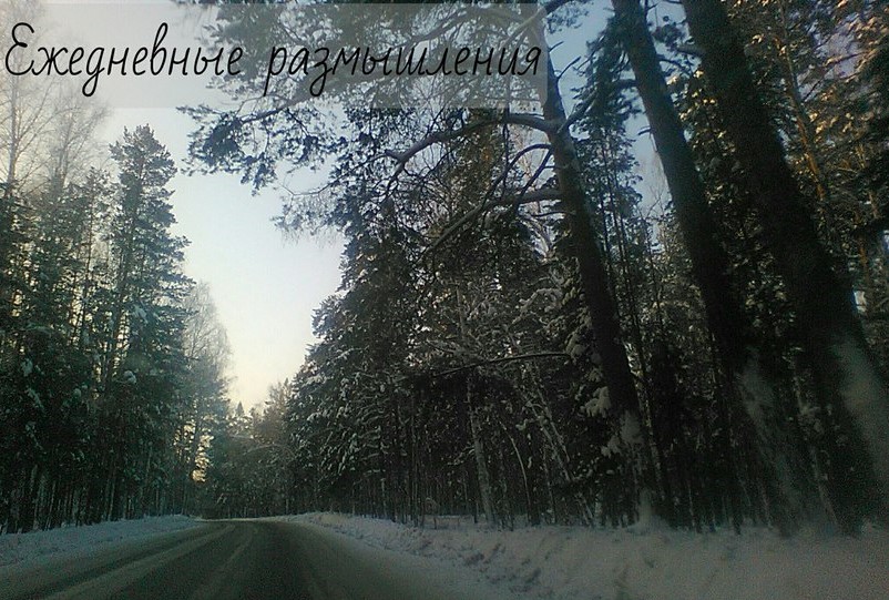 дорога, деревья в снегу, молитвы медитации размышления ежедневные аа