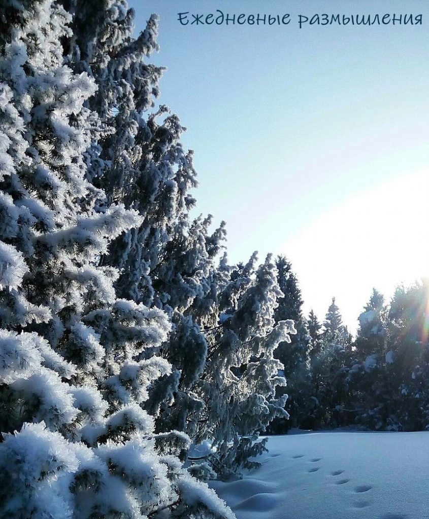 деревья, зима ежедневные медитации молитвы размышления аа